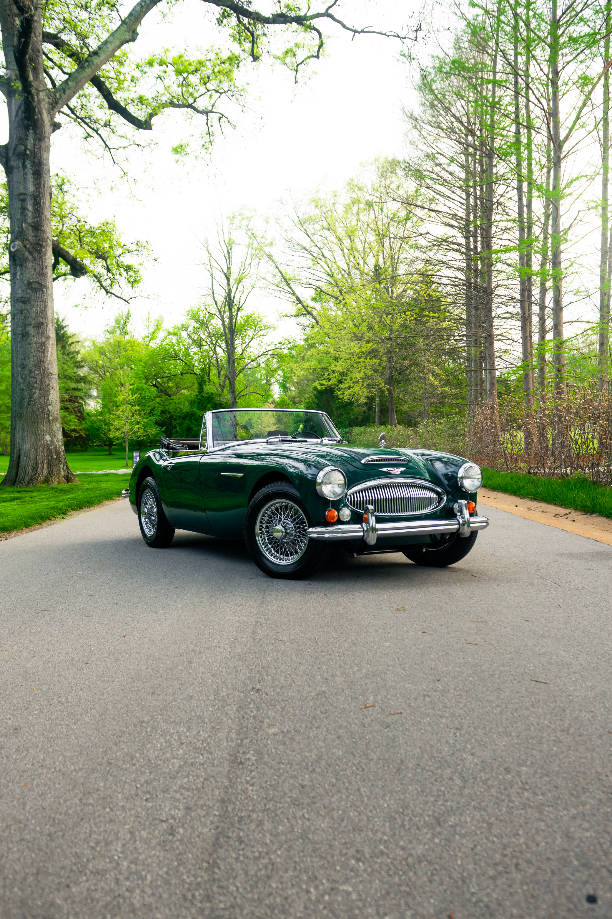 1967 Austin Healy 3000 - Photo 64