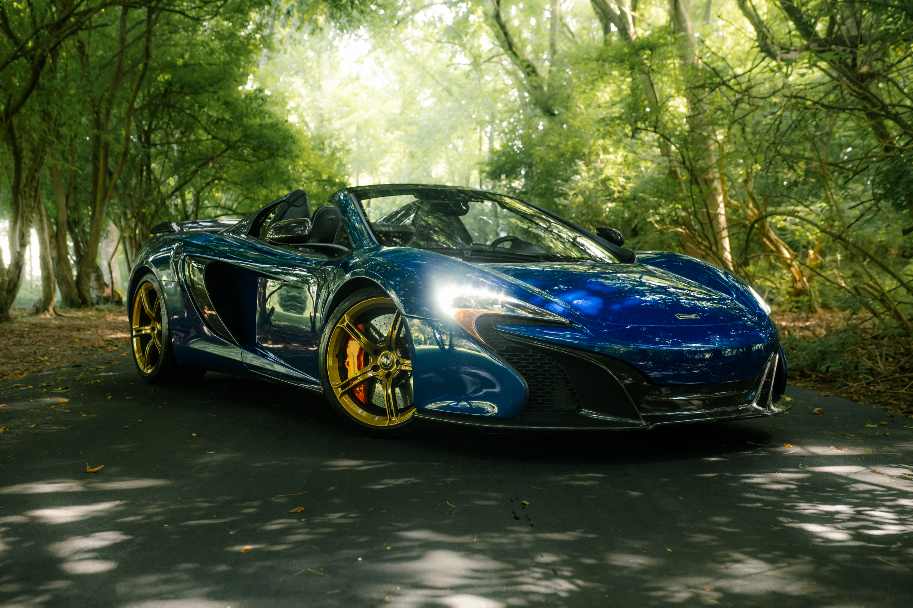 2016 McLaren 650S Spider's photo
