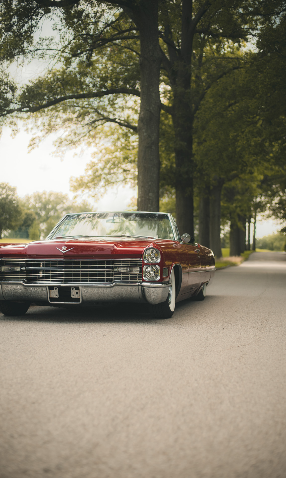 1966 Cadillac Deville - Photo 6