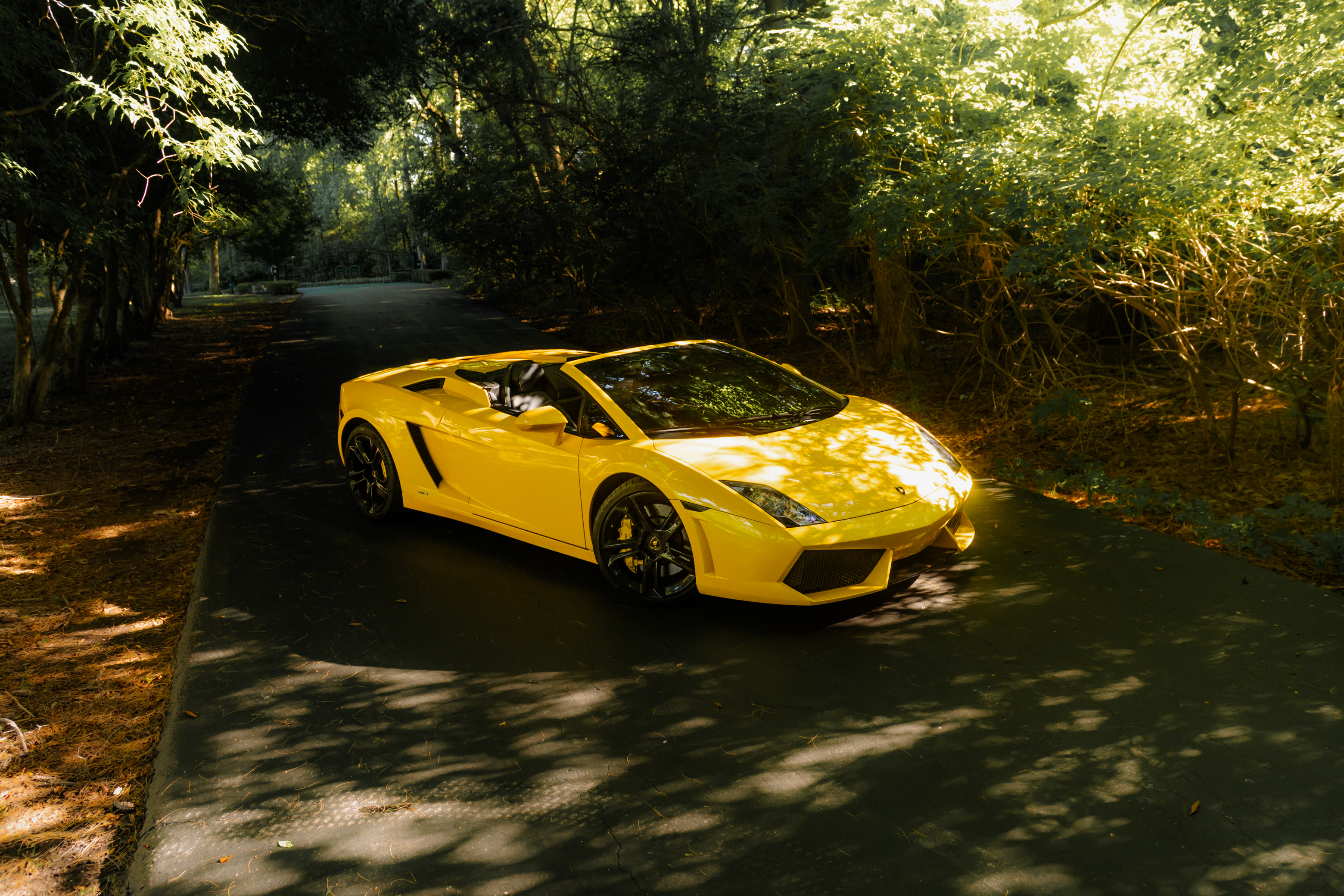 Yellow. Unmistakable. Built To Be Seen.