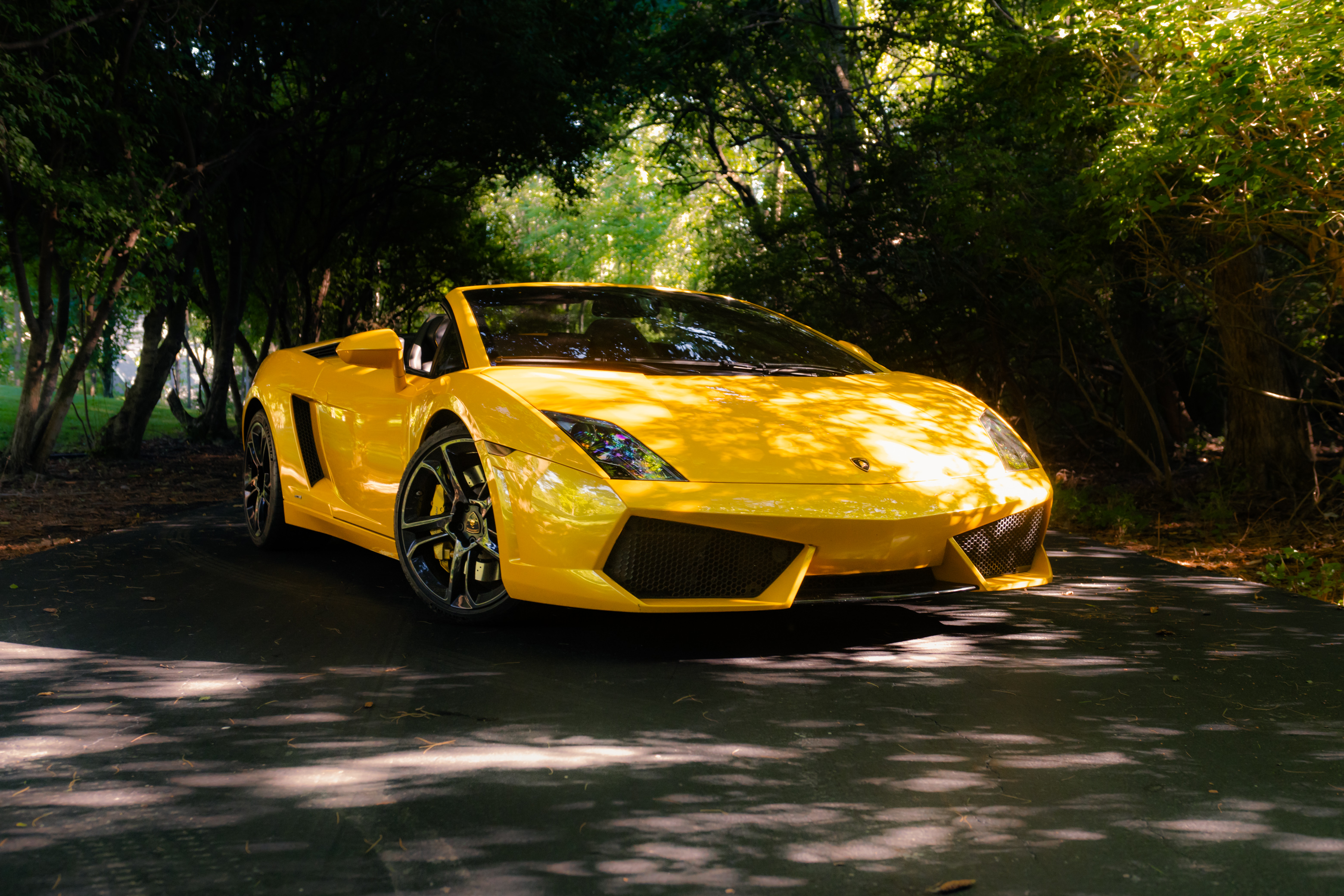 2011 Lamborghini Gallardo LP560-4 Spyder's photo